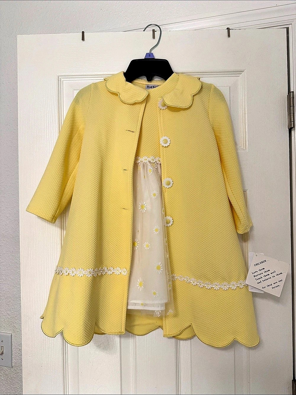 Blueberi Boulevard Daisy Embroidered Swing Coat and Dress Set Girls 5T